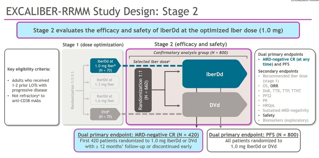 Hamza Hashmi (@hhashmi87) — #IMS26 — EXCALIBER-RRMM data slide