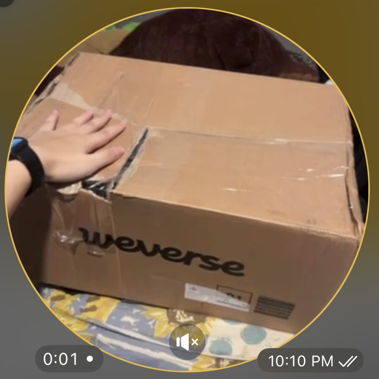 weno9o7's tweet photo. how studio choom arrived #thoughtsandprayers also the size of the box is mad… https://t.co/LnuED94Kui