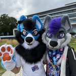 Photo by Damacy | Finnick (@Damaci)
