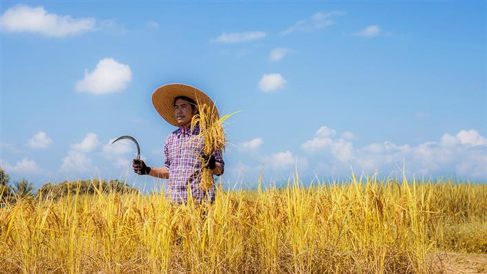 wto's tweet photo. WTO members review agriculture negotiation history, discuss ways forward #WTOAg https://t.co/EBD5HbhCb9 https://t.co/ylLbeKDlsH