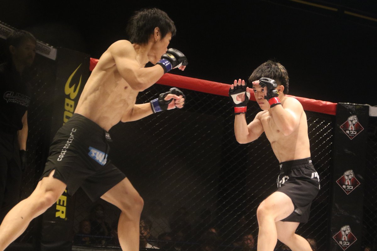 nekoyabunraku's tweet photo. #GLADIATOR036 #GLADIATOR #MMA
▼第16試合 GLADIATORストロー級5分3R
次期タイトル決定戦
諸井友祐(パラエストラ和泉)
クォン・ミンス(TEAMMAD) https://t.co/DypGnchXRO