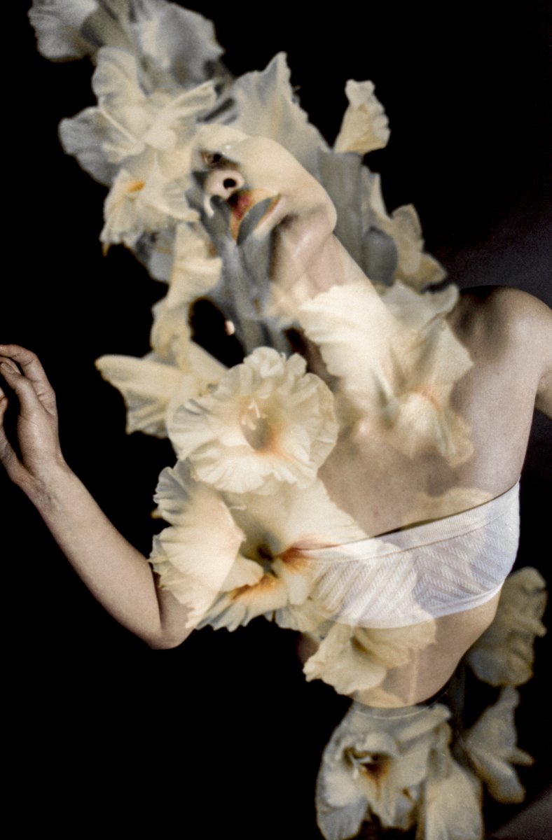 maxeremine's tweet photo. 人生は、花ひらく。
モデル：Stephani Mejia
ヘアメイク：Veronica Tirado-Sitterding
35mmフィルム・二重露光
#二重露光 #フィルム写真 https://t.co/ZQctApMBMP
