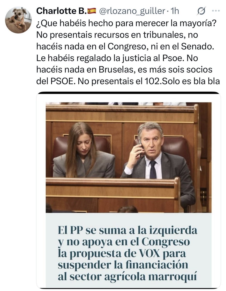 ferr13593's tweet photo. @EsterMunoz85 Pues bien claro os lo han dicho. Mierda pura y dura sois https://t.co/V4AsRv20rh