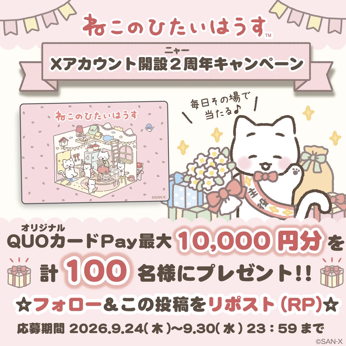 ねこのひたいはうす【公式】 on X: 