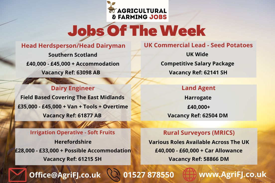Agriculturaljob's tweet photo. Jobs Of The Week! ๐
If you would like to find out further information on these job roles and to apply, please visit our website; https://t.co/FogcMc4Y4s
#agrifj #agriculturalandfarmingjobs #jobsoftheweek #jobopportunities #applynow #getintouch #recruitment https://t.co/QsK3hqdkD0