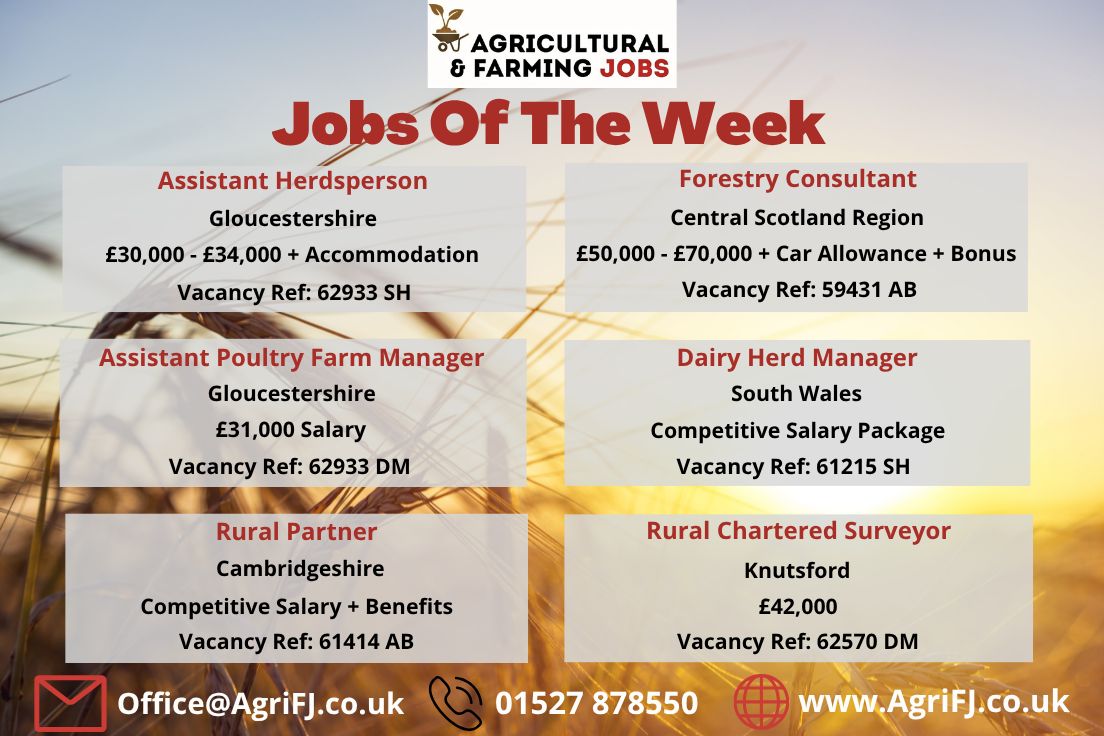 Agriculturaljob's tweet photo. Jobs Of The Week! ๐
If you would like to find out further information on these job roles and to apply, please visit our website; https://t.co/FogcMc4Y4s
#agrifj #agriculturalandfarmingjobs #jobsoftheweek #jobopportunities #applynow #getintouch #recruitment https://t.co/QsK3hqdkD0