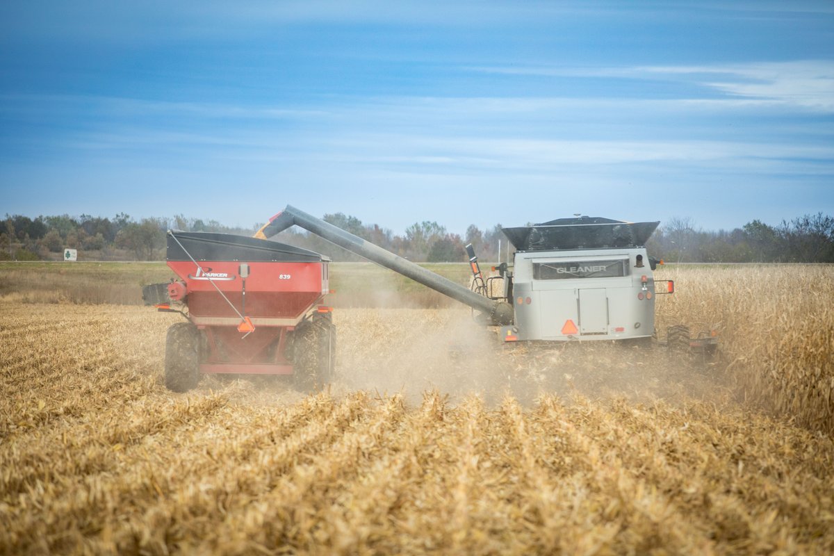 iowa_corn's tweet photo. It’s officially fall in Iowa, and that means harvest season is just around the corner for farmers across the state. Whether you’re behind the wheel or supporting from the sidelines, remember safety comes first. Be alert on rural roads and around equipment. 🌽🚜 https://t.co/LKu0n2dGPI