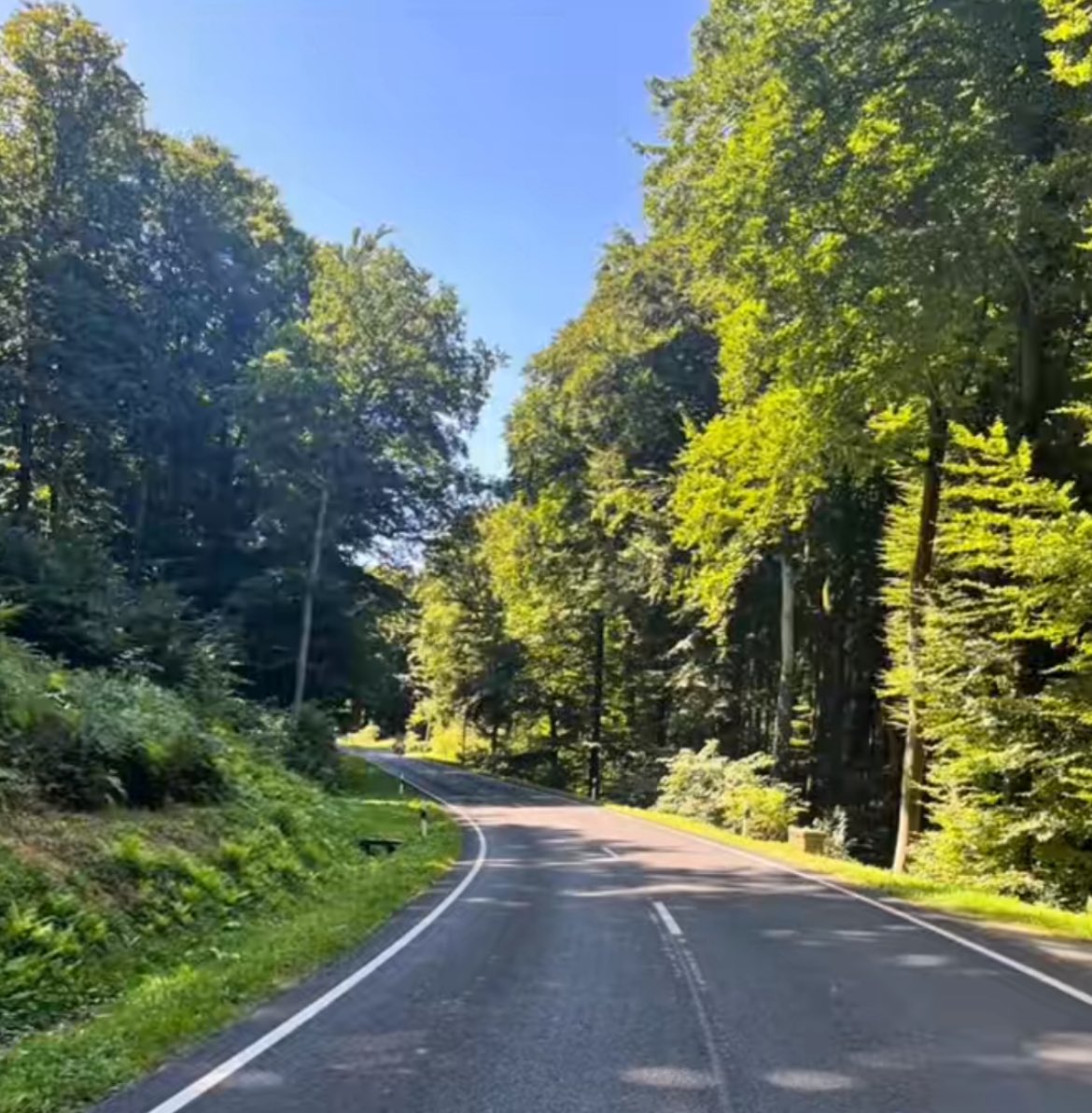 Midfaceincel's tweet photo. “Eugh let’s turn around we can’t go that way” 

vs 

“OMG where are we going”

Brutal https://t.co/ZQOPmA4QYN