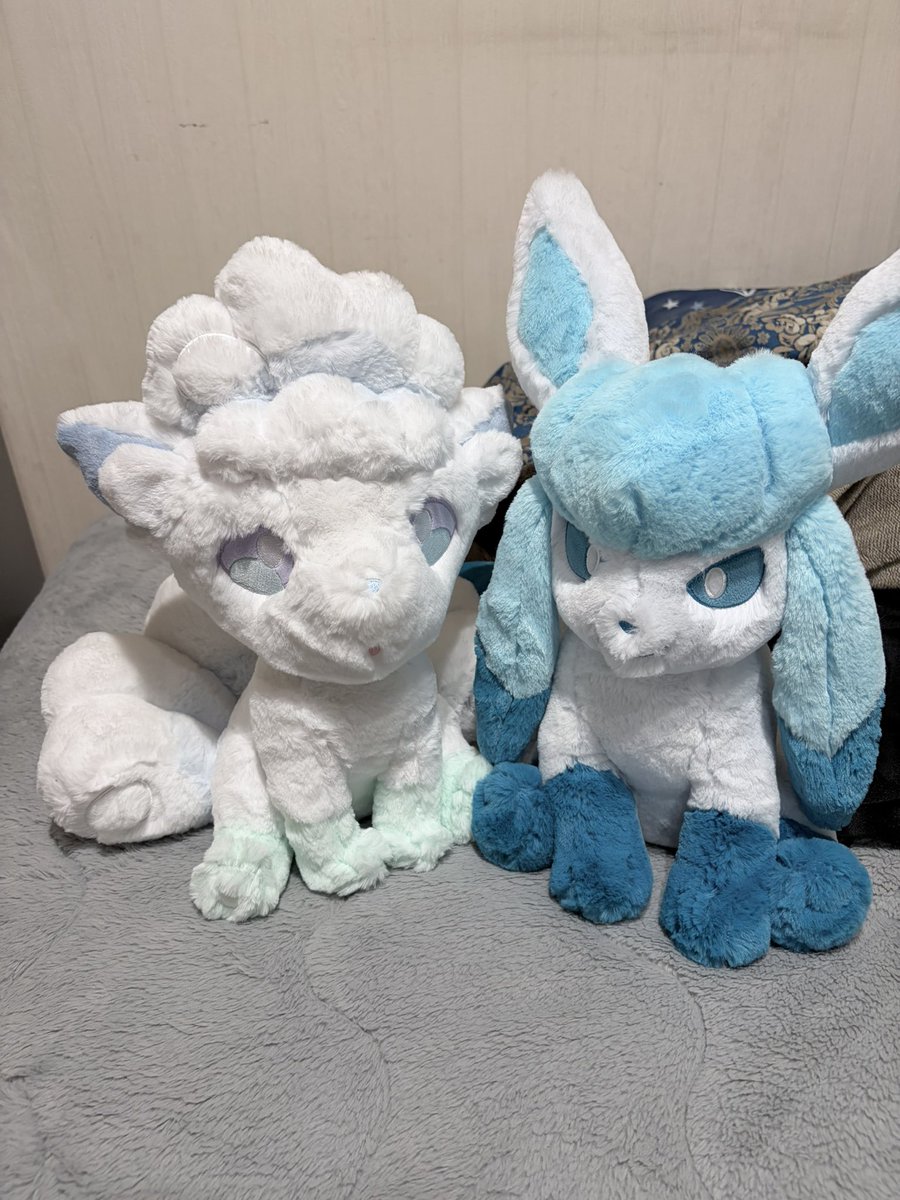 __yu01_'s tweet photo. アローラロコンも買っちゃった❕
可愛い😭

 #ポケモン https://t.co/5wIEtjyRoL