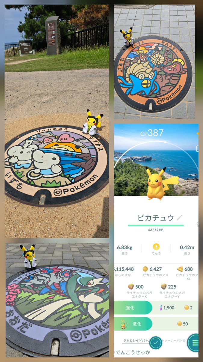 tmk_shn's tweet photo. 今日は島根のポケふたまわってきた！
１日やから3つしかまわられへんかったけど島根ピカチュウもゲット出来たから満足
#ポケモンGO #ポケふた #島根 https://t.co/ylHJuWLQa2