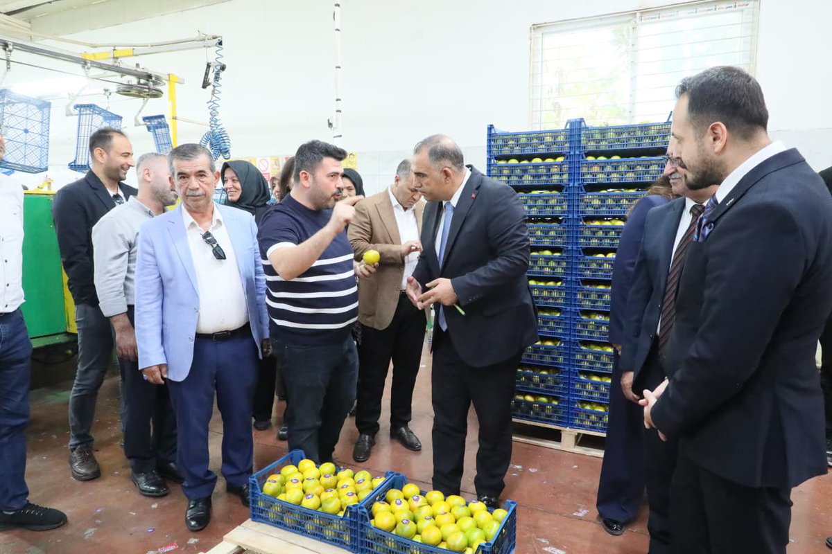 Malikurt14's tweet photo. 📍 Dörtyol

Programımız kapsamında Kazanlar Narenciye Paketleme Fabrikası’nı ziyaret ettik.

Üretim ve paketleme süreçleri hakkında bilgi alarak, bölgemizin tarımsal üretimine ve istihdamına katkı sunan çalışmalarını yerinde inceledik.

Alın teriyle üreten, emek veren tüm çalışanlarımıza kolaylıklar; işletmemize bereketli ve bol kazançlı bir sezon diliyorum.
#TürkiyeYüzyılıBuluşmaları
#Gaziantep
#AKParti
@RTErdogan @Akparti @efkanala @mustafaelitas @abuyukgumus @avabdullahguler @abdulhamitgul @zorlu77 @HuseyinYayman @DMustafaErdogan @akpartilhatay @avmithatacici