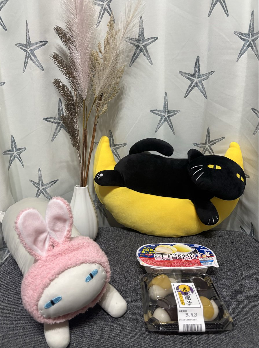 cookies_1978's tweet photo. お団子買って帰ったー🍡
曇ってて何も見えないけどお月見気分ー🌕 https://t.co/a41hh2IBk6