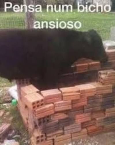 LegnarFelipe's tweet photo. só mais 5 dias pro salario. https://t.co/TxEvwtRlV3