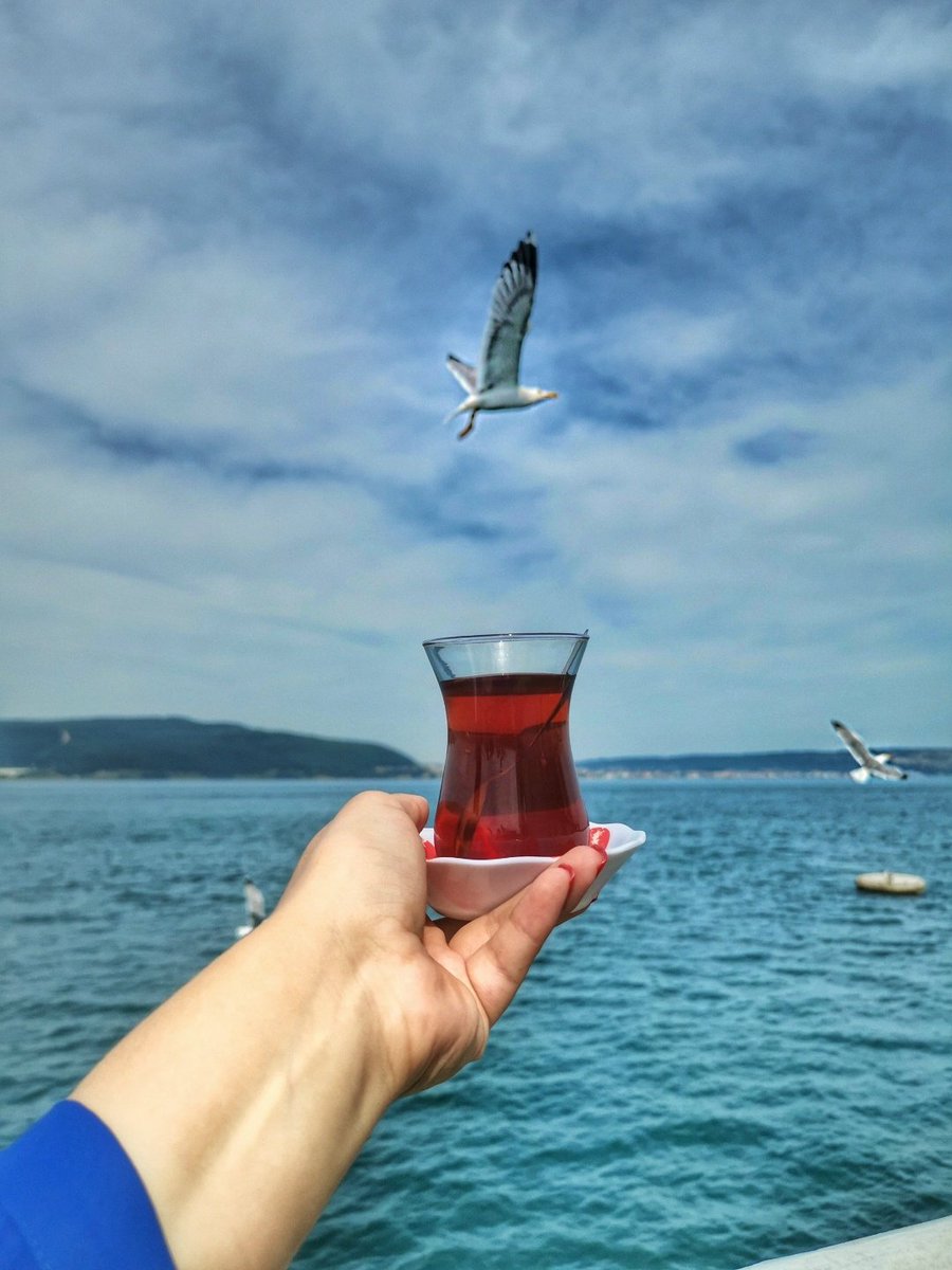 UMindforum's tweet photo. #Bosfor #Istanbul 🇹🇷 https://t.co/jFoyJYFRh8