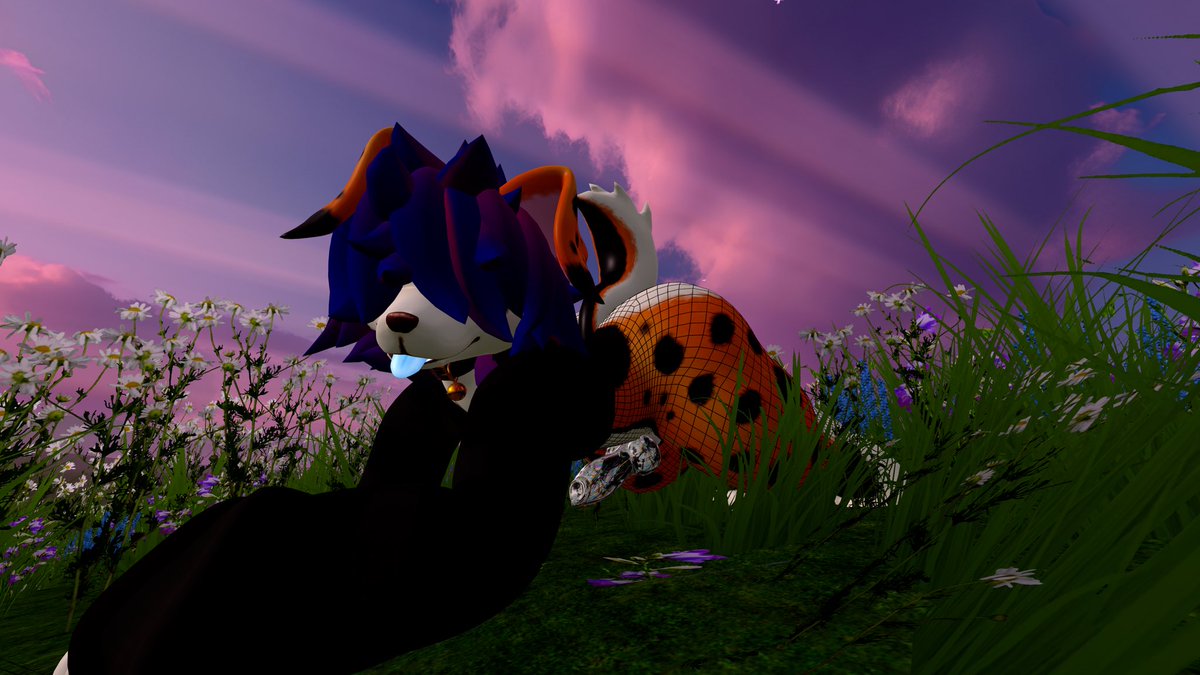 ZackyTheFloofAD's tweet photo. Still not pleased with me~? Well then if not maybe showing off could change your mind~? #nsfwfurry #furry #nsfwvrchat #nsfw #bigass https://t.co/IgQ5SOtvqQ