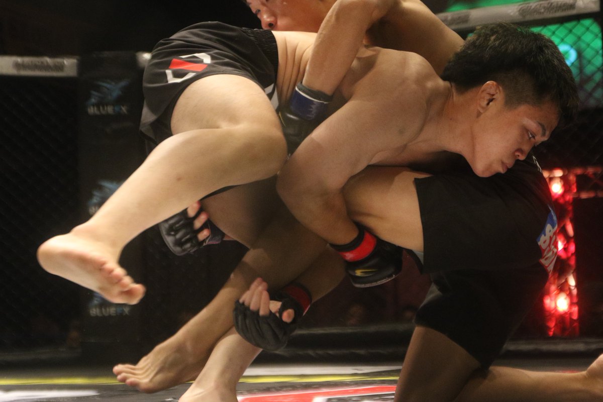nekoyabunraku's tweet photo. #GLADIATOR036 #GLADIATOR #MMA
▼第16試合 GLADIATORストロー級5分3R
次期タイトル決定戦
諸井友祐(パラエストラ和泉)
クォン・ミンス(TEAMMAD) https://t.co/DypGnchXRO