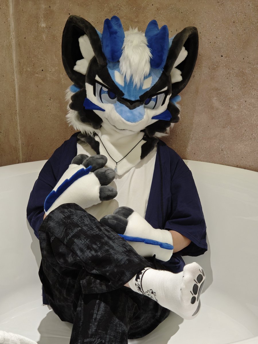 Tailsmiles10's tweet photo. 小狗，嘬嘬嘬~ https://t.co/8Q2yMAxZSZ