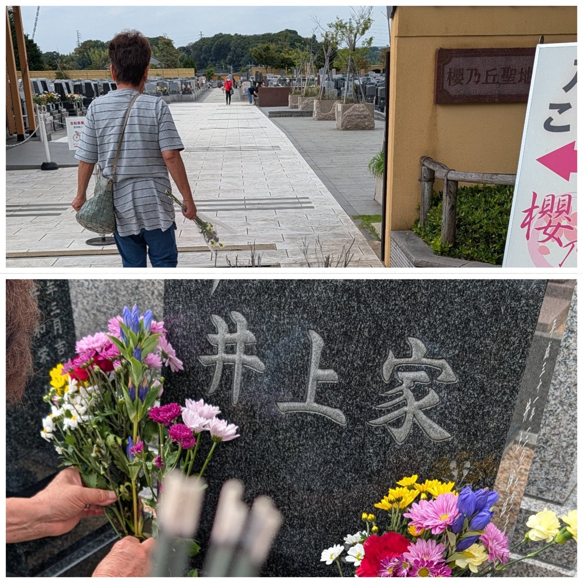 tomotamachiko's tweet photo. 2026/09/25（金）⁡⁡
⁡お仕事🏥💊➜お休み⁡
⁡千葉県まで、珍道中なりꉂ🤣𐤔⁡
⁡お墓🪦参り🚗 ³₃⁡
⁡買い物🛍して、帰宅🏠⁡
⁡そして、給料日💰⁡
⁡またあしたも、頑張ろ❣️⁡
⁡(*˘︶˘*)ｵﾔｽﾐﾅｻｲ~..♡♡ https://t.co/rGaM2E6m1A