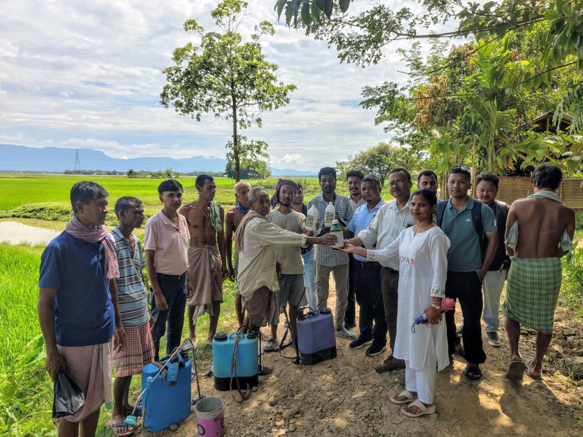 Pijush_hazarika's tweet photo. Our farmers' hard work will not go to waste. 

Teams are on the ground right now - spraying and distributing chemicals to control the swarming caterpillar outbreak and protect the crops.

We stand with our farmers, every step of the way.

📍 Sonai, Cachar https://t.co/Lr0wxrfA1L