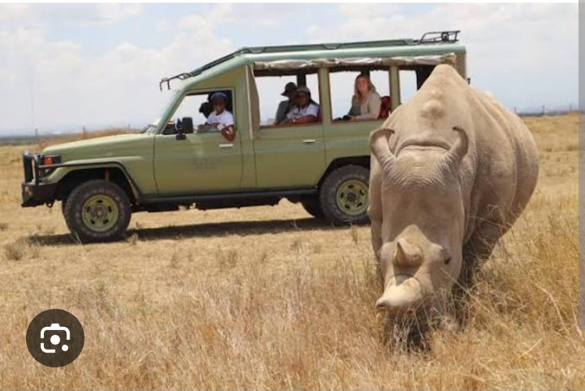 Mrs_arubansi's tweet photo. I'm in agreement with Musa Maridhawa that hosting international congresses strengthens diplomacy. Bringing global decision makers to Nairobi reinforces Kenya's leadership role. MICE Market Rewards. Conference Tourism Benefits. #TourismDevelopmentKE. https://t.co/eCeVaNbnEJ