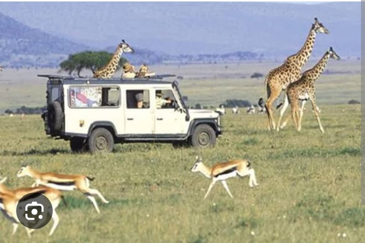 Mrs_arubansi's tweet photo. I'm in agreement with Musa Maridhawa regarding the power of international business meetings. Expanding Kenya's convention infrastructure ensures long-term prosperity and economic growth. MICE Market Rewards. Conference Tourism Benefits. #TourismDevelopmentKE. https://t.co/O9qbUyIhpH