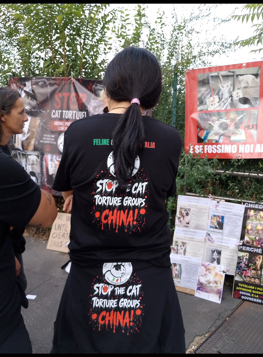Castalia68's tweet photo. WANGWANG FAMILY * FELINE GUARDIANS ITALIA * MILANO, CONSOLATO GENERALE di CHINA, OGGI   #JusticeForWangwang   @felineguardians    #StopAnimalAbuse https://t.co/WjGGp8FXse