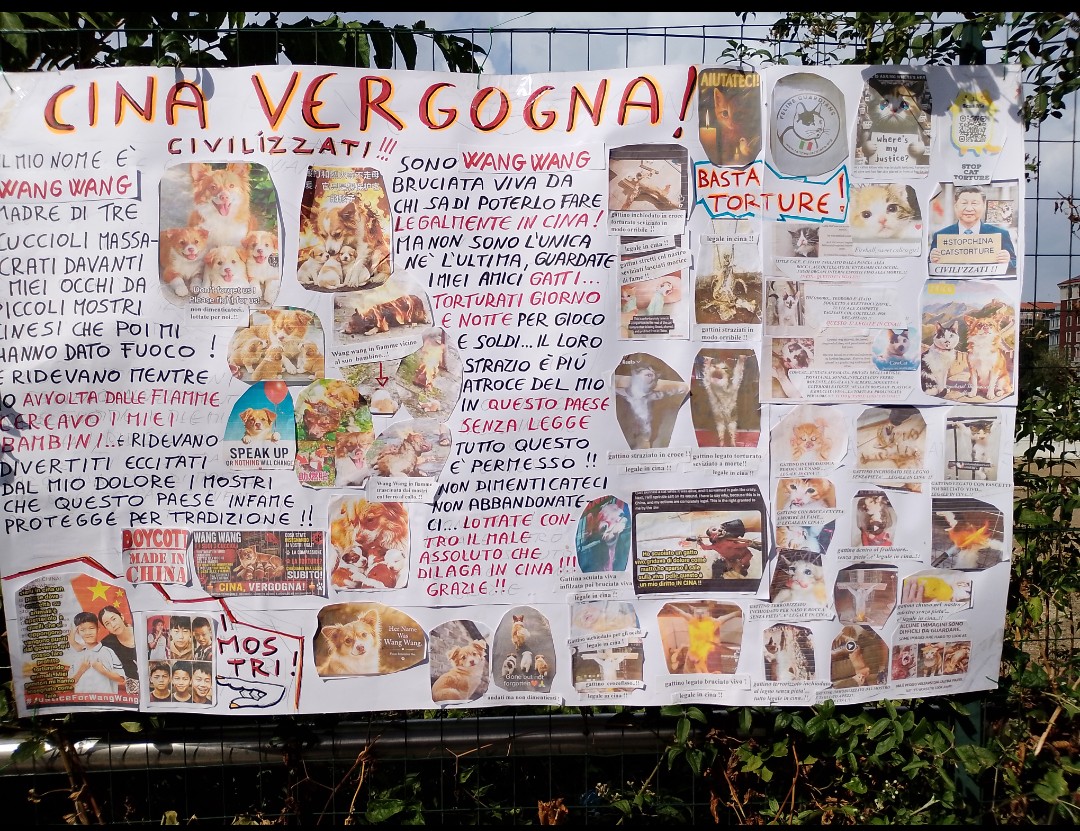 Castalia68's tweet photo. WANGWANG FAMILY * FELINE GUARDIANS ITALIA * MILANO, CONSOLATO GENERALE di CHINA, OGGI   #JusticeForWangwang   @felineguardians    #StopAnimalAbuse https://t.co/WjGGp8FXse