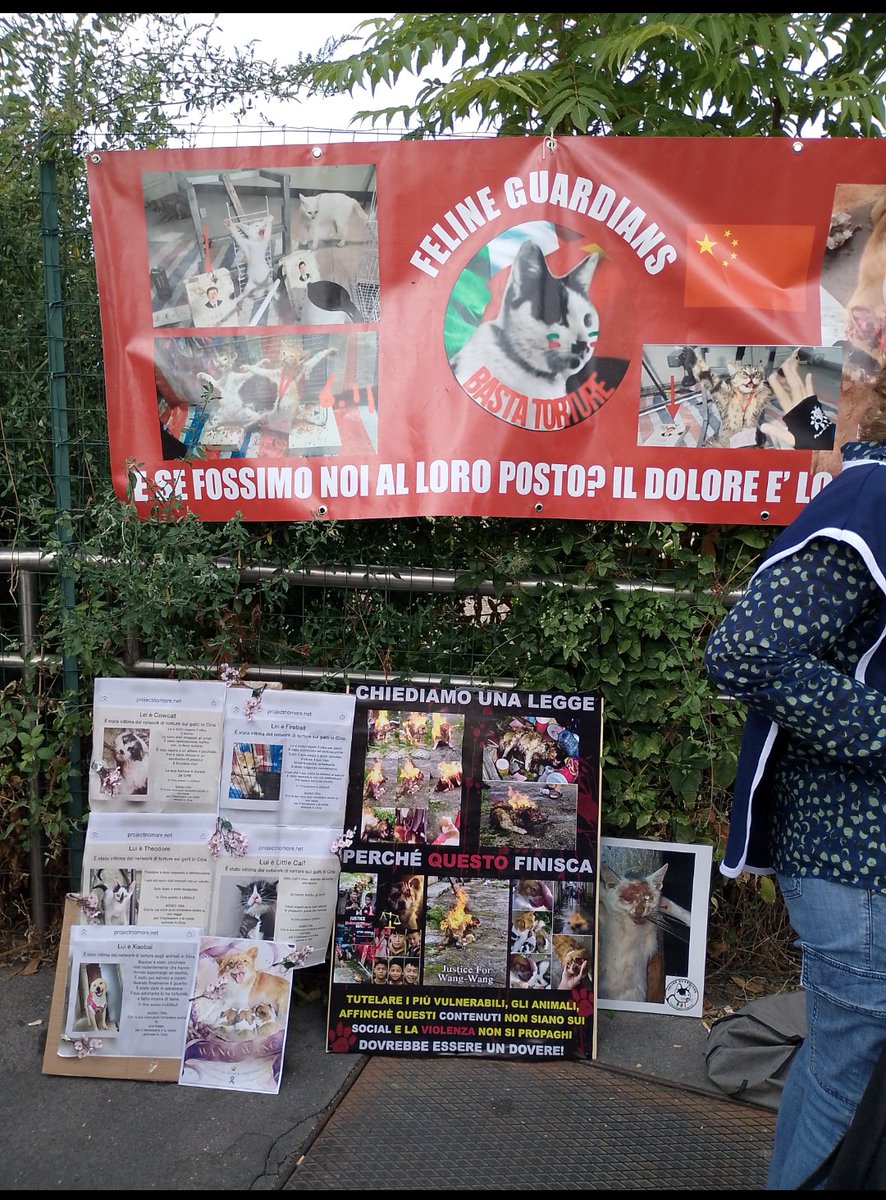 Castalia68's tweet photo. WANGWANG FAMILY * FELINE GUARDIANS ITALIA * MILANO, CONSOLATO GENERALE di CHINA, OGGI   #JusticeForWangwang   @felineguardians    #StopAnimalAbuse https://t.co/WjGGp8FXse