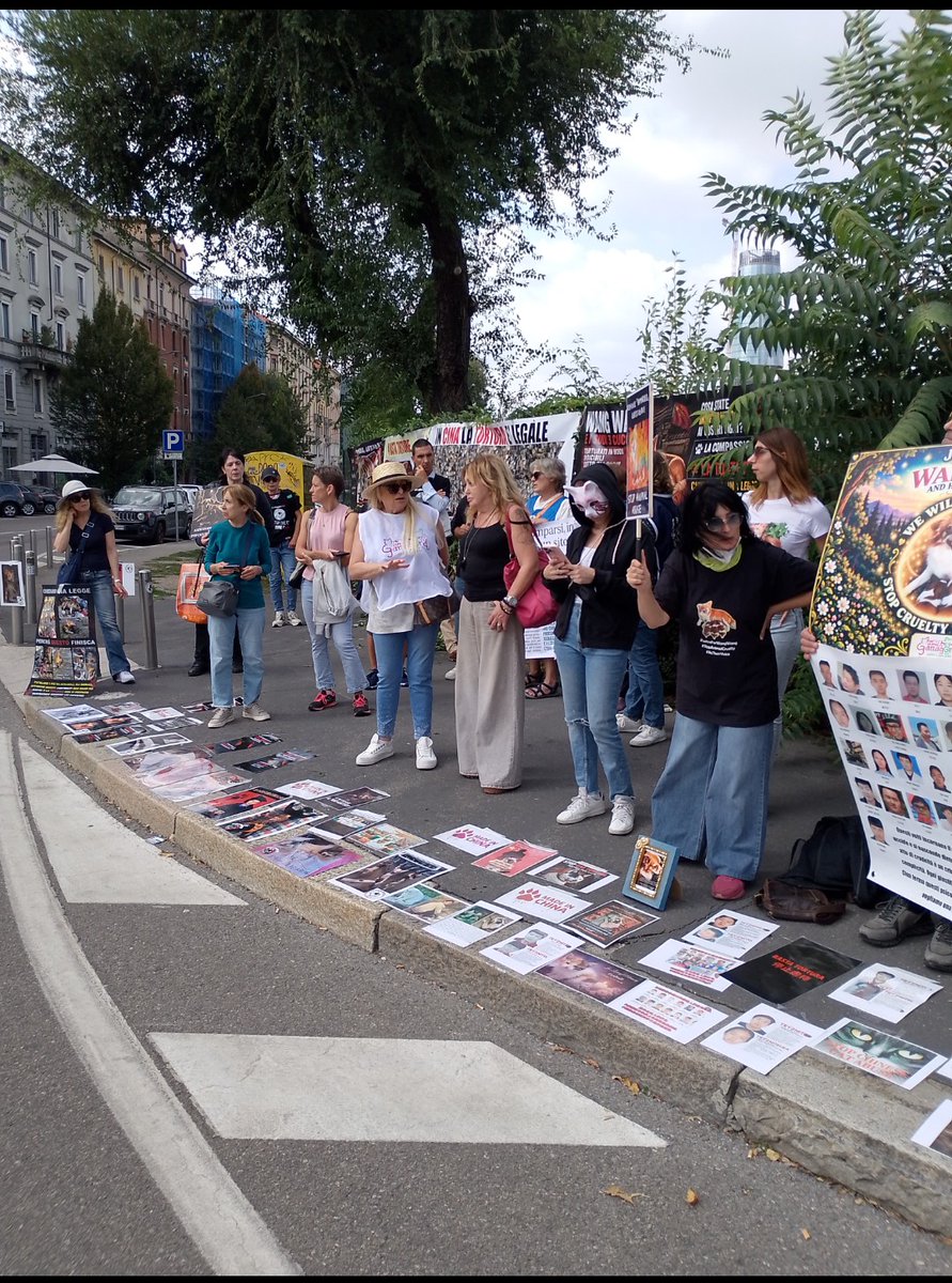 Castalia68's tweet photo. WANGWANG FAMILY * FELINE GUARDIANS ITALIA * MILANO, CONSOLATO GENERALE di CHINA, OGGI   #JusticeForWangwang   @felineguardians    #StopAnimalAbuse https://t.co/WjGGp8FXse