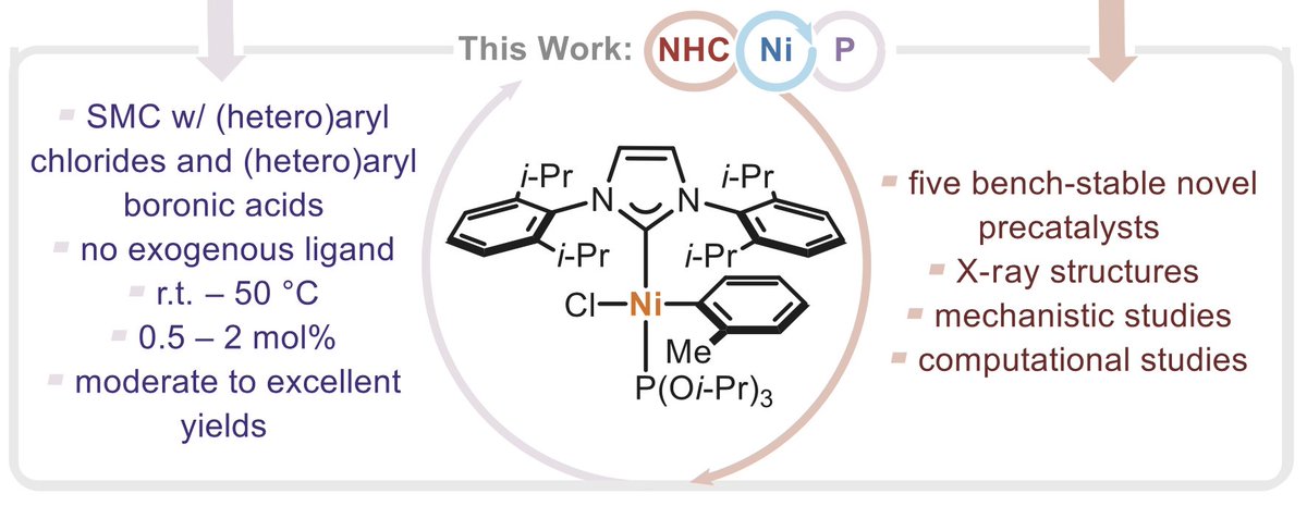 Szostak_Group's tweet photo. #NHCs #NHeterocyclicCarbenes One of the best papers of 2025 on bench-stable [Ni(II)-NHC] precatalysts by Stewart group. Heteroleptic Ni(II)-NHC-phosphites. A dynamic ligand synergy: L1Ni is kinetically accessible. Phosphite coordination stabilizes L2Ni. https://t.co/KTUlqZC993 https://t.co/evyVeE1Ruz