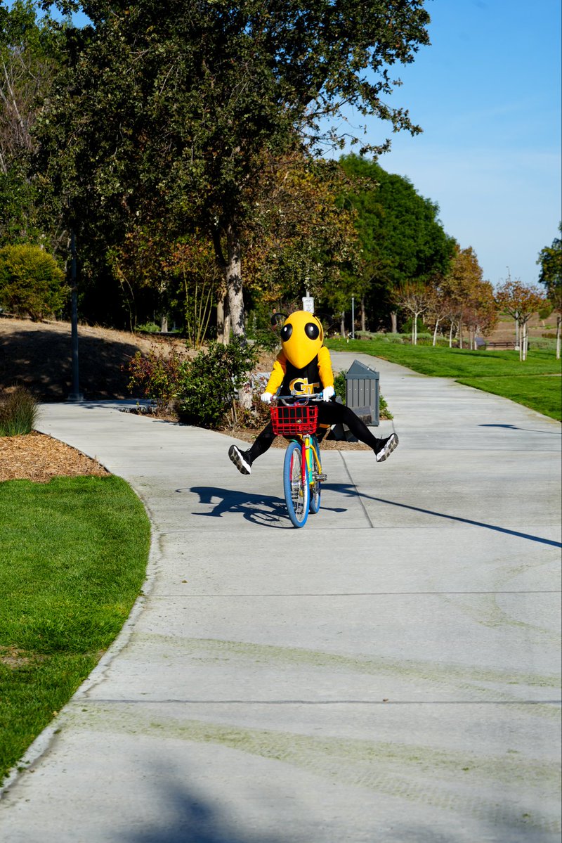 GeorgiaTech's tweet photo. Google it: What happens when Buzz touches down in Silicon Valley? 🐝 https://t.co/8niyvdEZtU