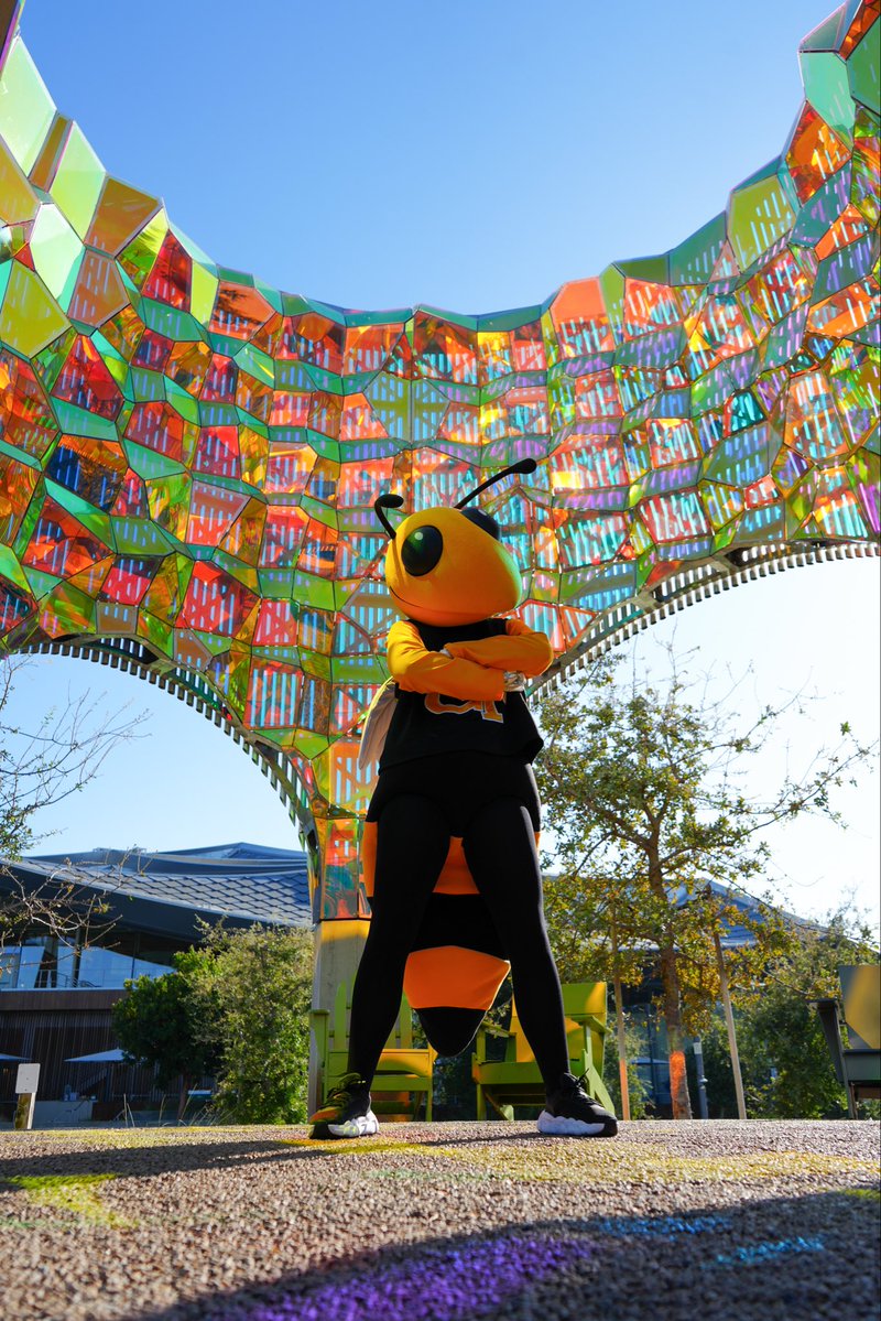 GeorgiaTech's tweet photo. Google it: What happens when Buzz touches down in Silicon Valley? 🐝 https://t.co/8niyvdEZtU