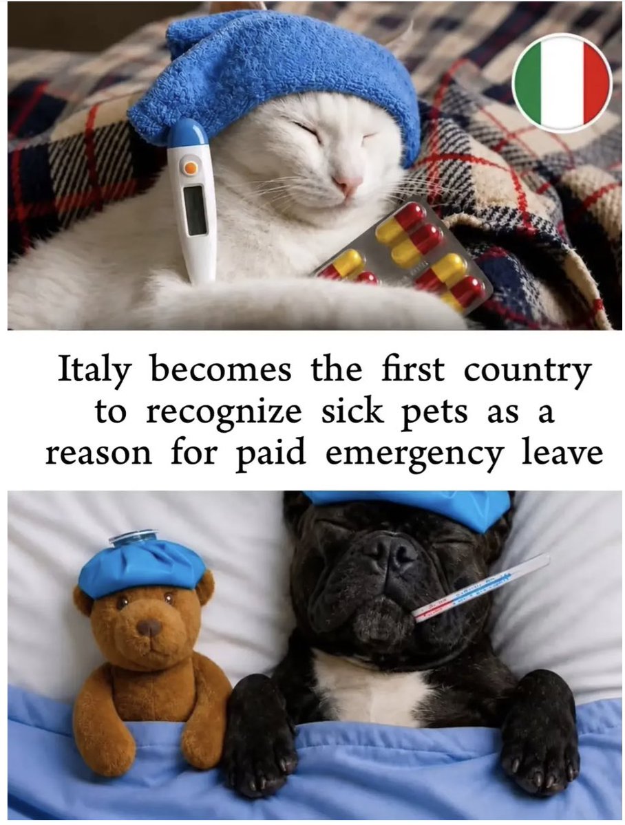 RuttinButTrubs's tweet photo. Another reason to love Italy. https://t.co/YDwxSsC1Sw