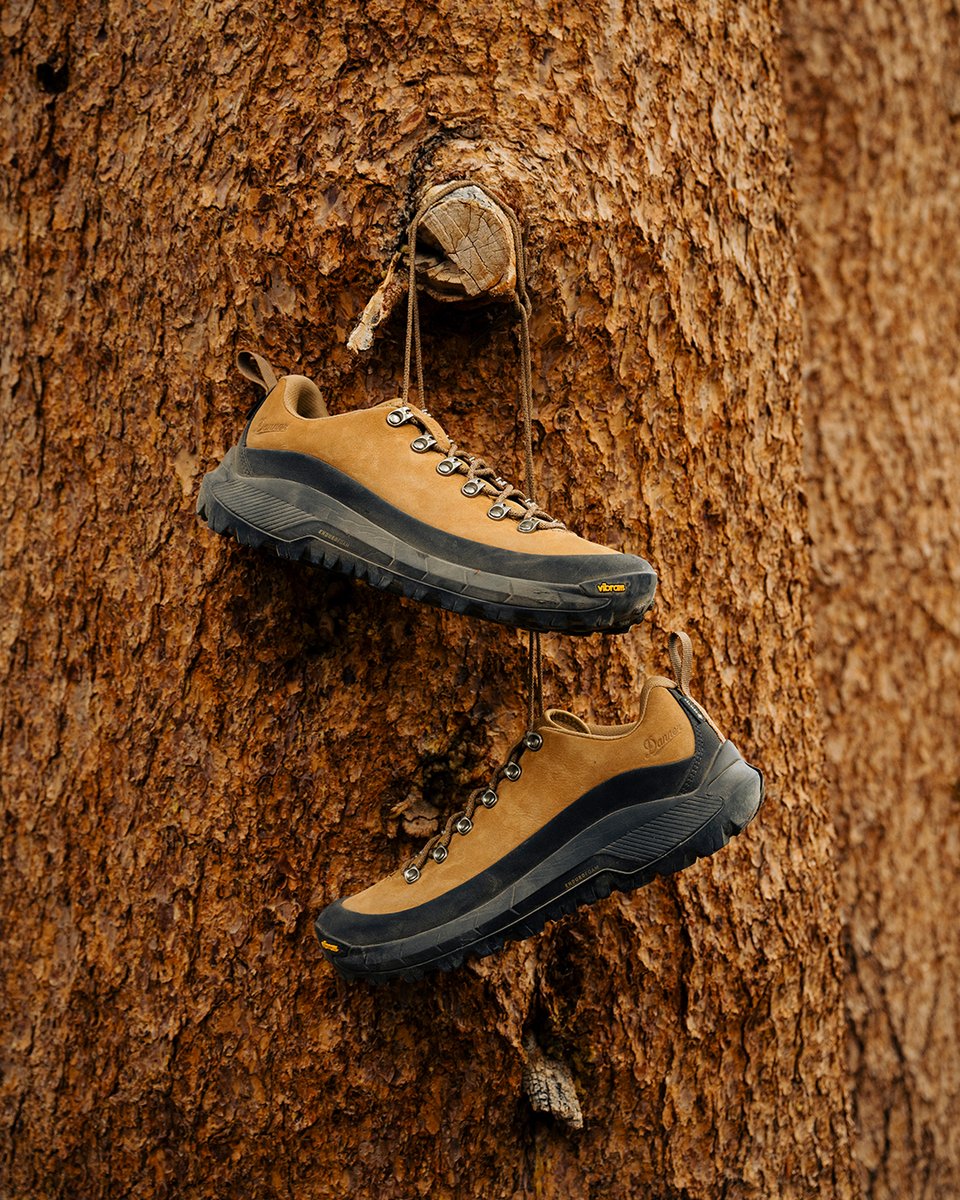 danner's tweet photo. Sorry about your old pair of hiking shoes. It's time to meet your new favorites.
#dannerboots 
https://t.co/LWczhyZmRO https://t.co/mPXa3HWKh0