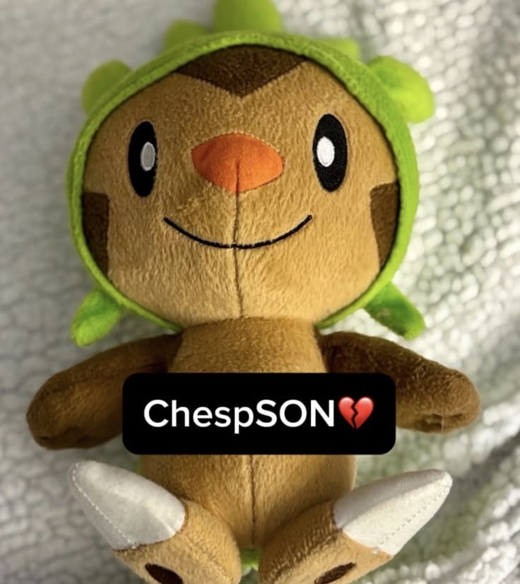 AcervoChespin's tweet photo. @pokemon_daily CHESPINNNN https://t.co/qTFF5pxpVR
