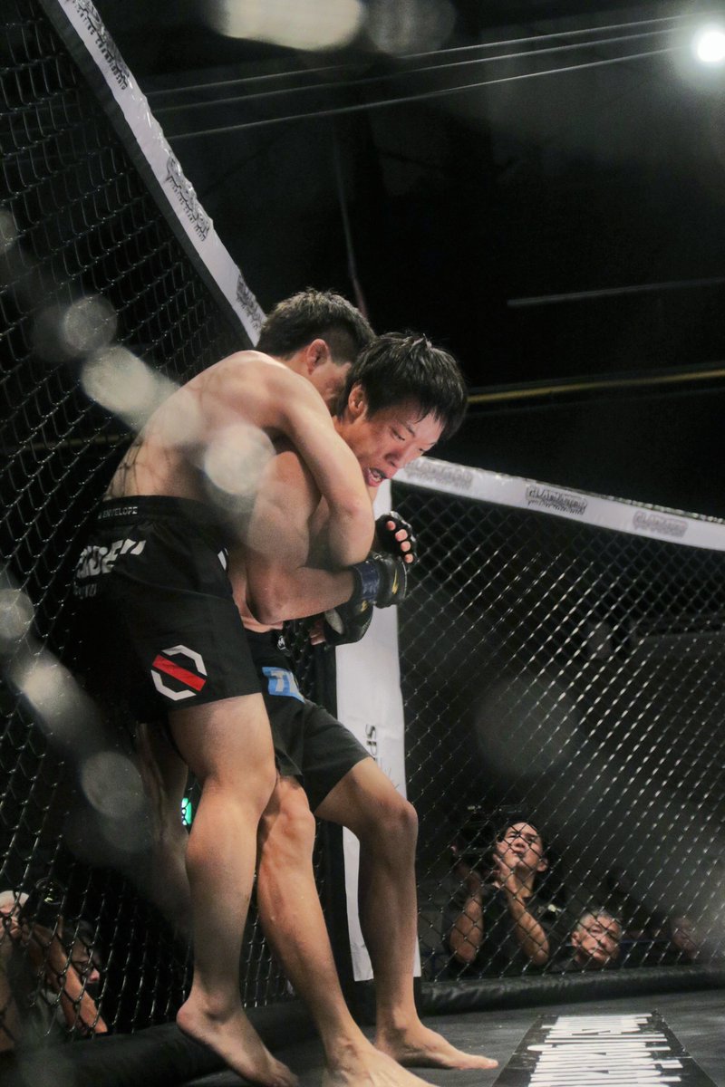 nekoyabunraku's tweet photo. #GLADIATOR036 #GLADIATOR #MMA
▼第16試合 GLADIATORストロー級5分3R
次期タイトル決定戦
諸井友祐(パラエストラ和泉)
クォン・ミンス(TEAMMAD) https://t.co/IKHBkkKKUg