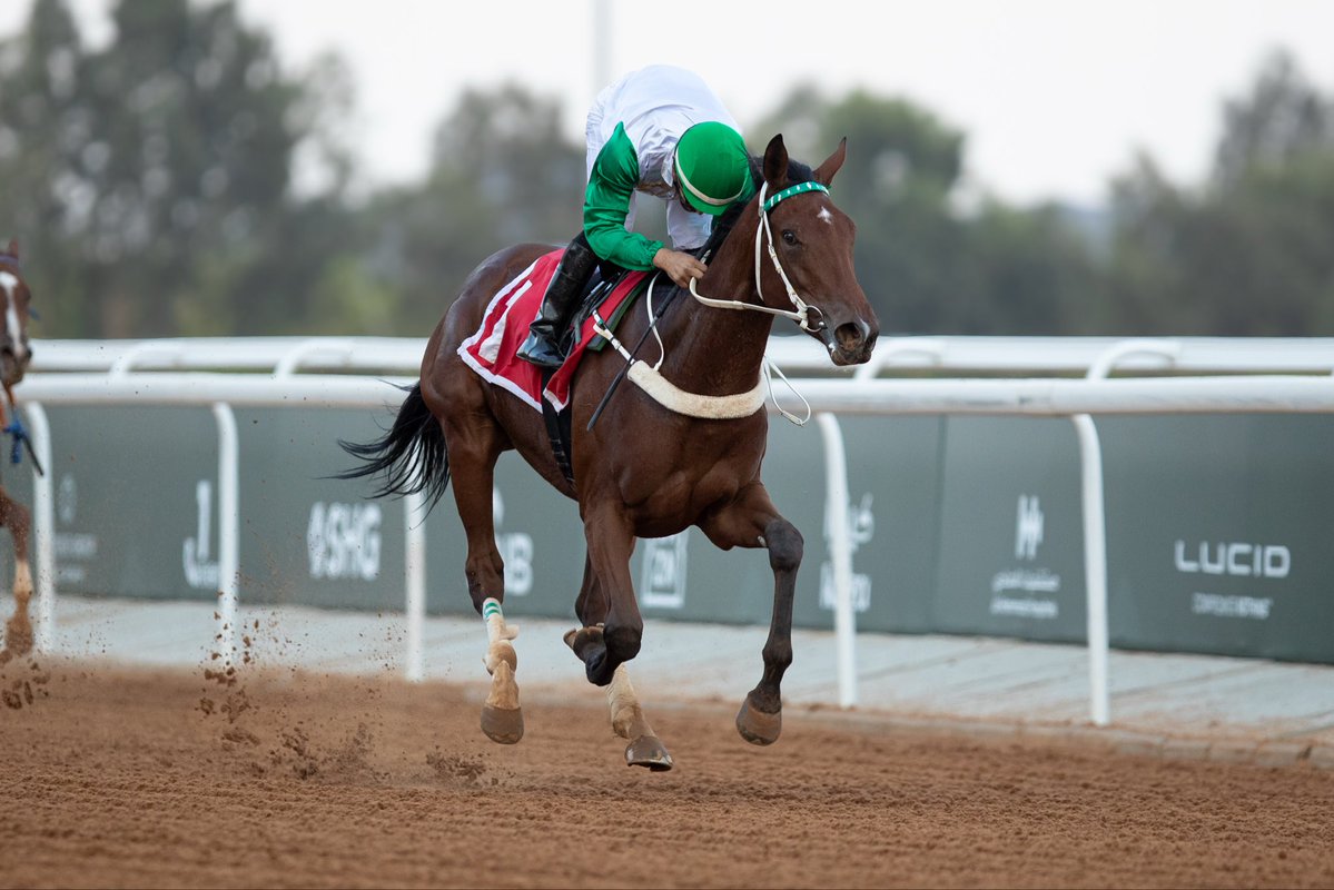 alareen_racing's tweet photo. المهرة "ازهلها" 

بشعار الشيخ عبدالله حمود المالك الصباح.

تحقق الانتصار الثاني من مشاركتها الثالثة، على مسافة 1600 متر، تدريبات عبدالله السدراني، وبقيادة الخيال محمد الحبيل. 

ألف مبروك 👏🏻

#العرين_ريسينق https://t.co/3oU0OciBut