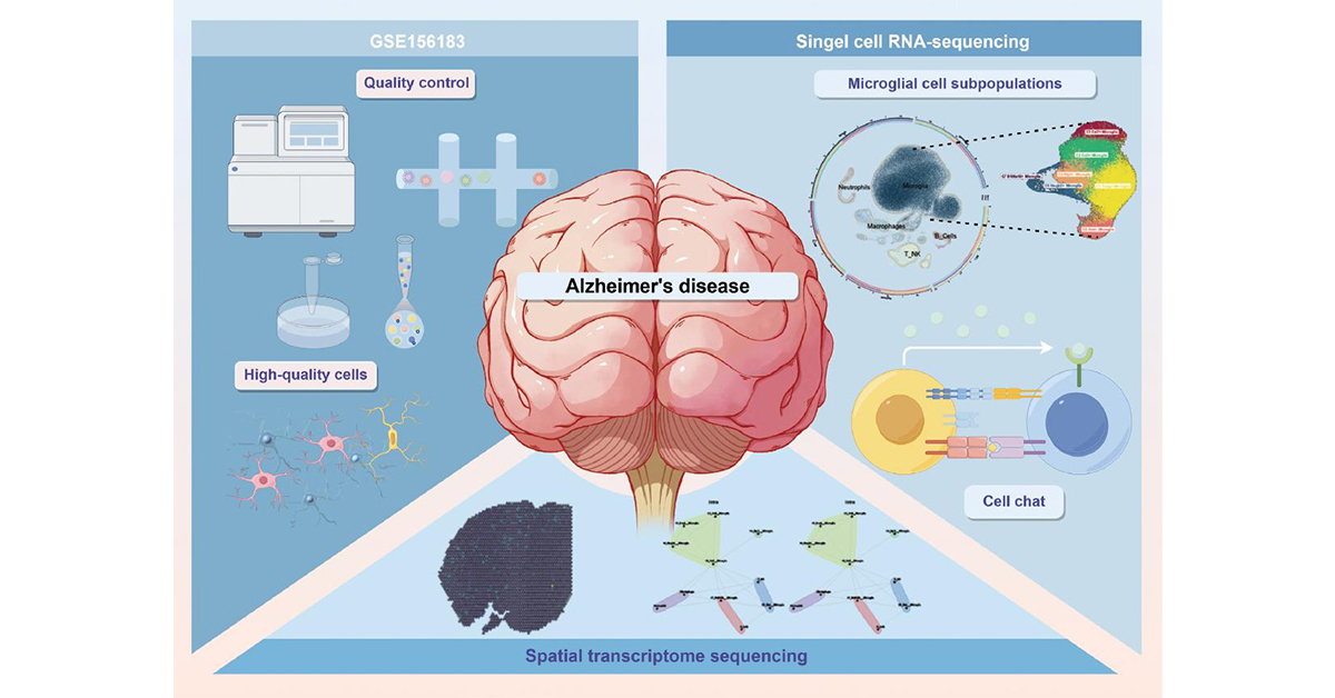 JournalBio's tweet photo. Can hT2AB reshape AD pathology?
This study identified C2 microglia as key effectors, guided by hT2AB toward protective differentiation, offering therapeutic and biomarker potential. #Neuroimmunology #AlzheimersDisease
#BIOI #OpenAccess: https://t.co/AotUH4llub https://t.co/YxOCUrVJR5