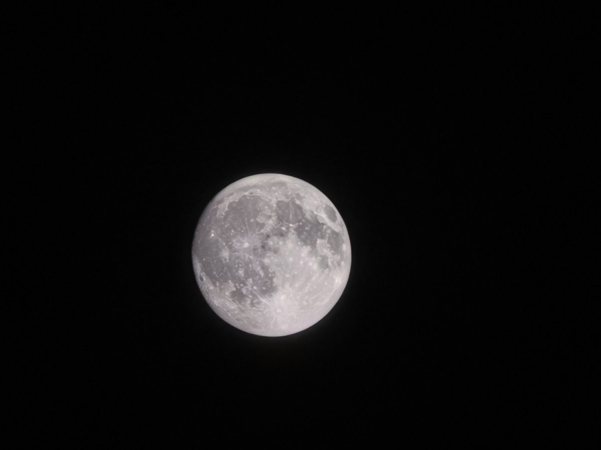 vigour_lin's tweet photo. Mid-Autumn Festival

The moon tonight. https://t.co/E9F25Uinr7