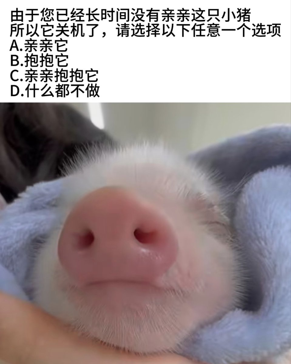lanyu_0101's tweet photo. 晚安！ https://t.co/iAoJK7Jn1b