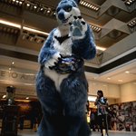 Photo by Trouty🔜PCD (@Tr0utty)
