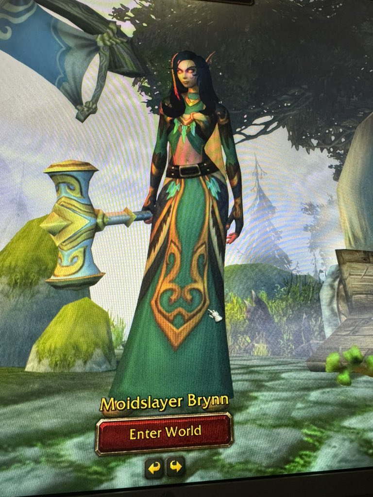 tradfemcel's tweet photo. hey @Warcraft this is who you’re banning for being named moidslayer femcel 🖕fuck you and fuck your entire life https://t.co/O8P7mrDrpD