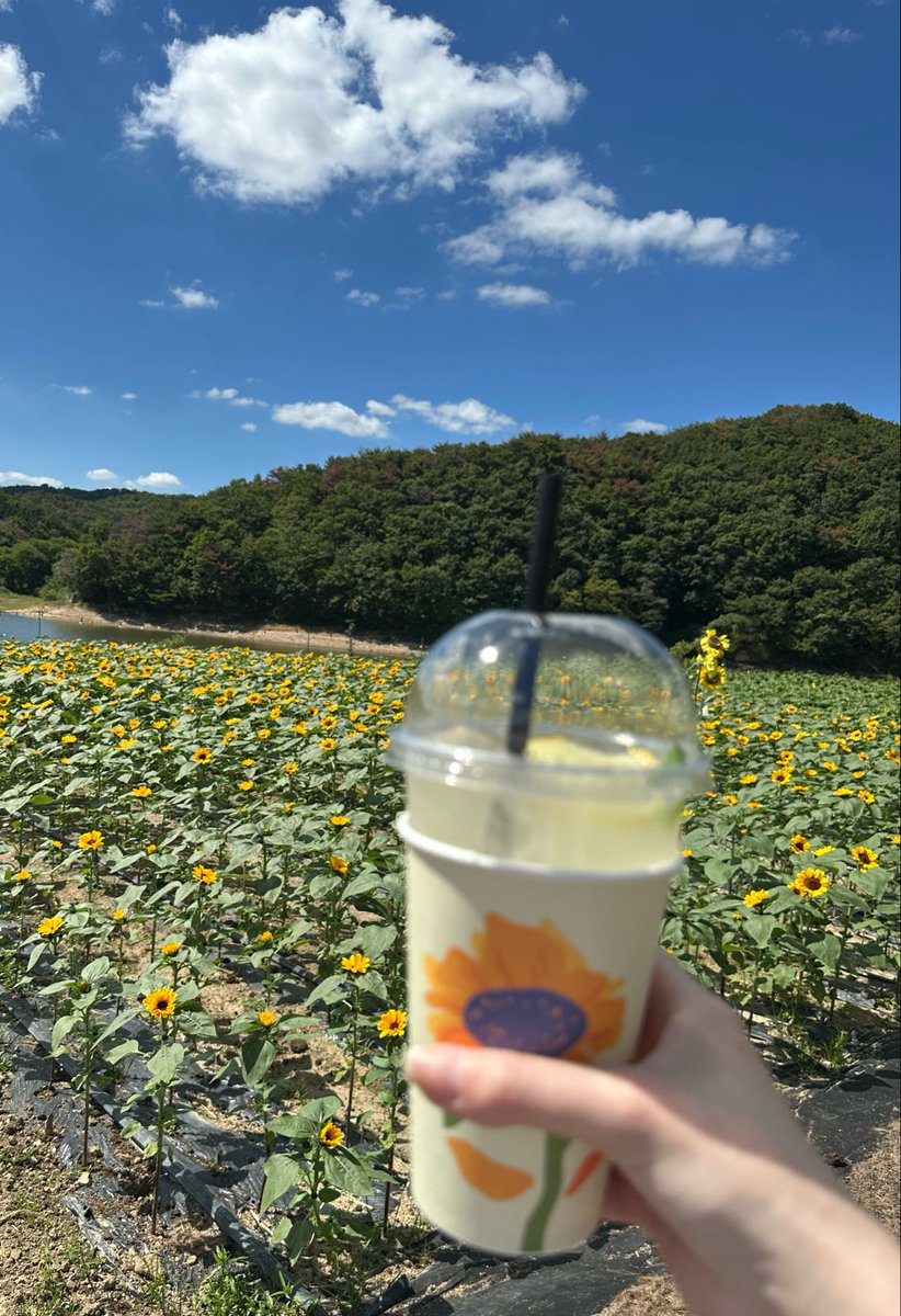 Your_Home0714's tweet photo. 秋休み1人韓国旅行day6-7(慶州)
1枚目:月精橋
2枚目:鮑粥(복길)
3枚目:仏国寺
4枚目:바실라 https://t.co/aSUlibZoB4