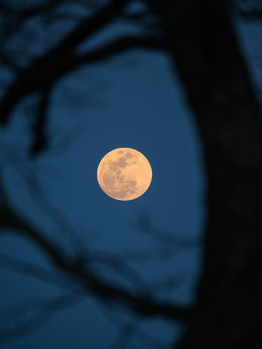 NASAMoonBase's tweet photo. The seasons are changing, and the Harvest Moon is here. 🌕🍂

This is the full Moon that occurs closest to the fall equinox.

Watch for it rising in the east after sunset on Saturday. https://t.co/PsSaHBXcb2