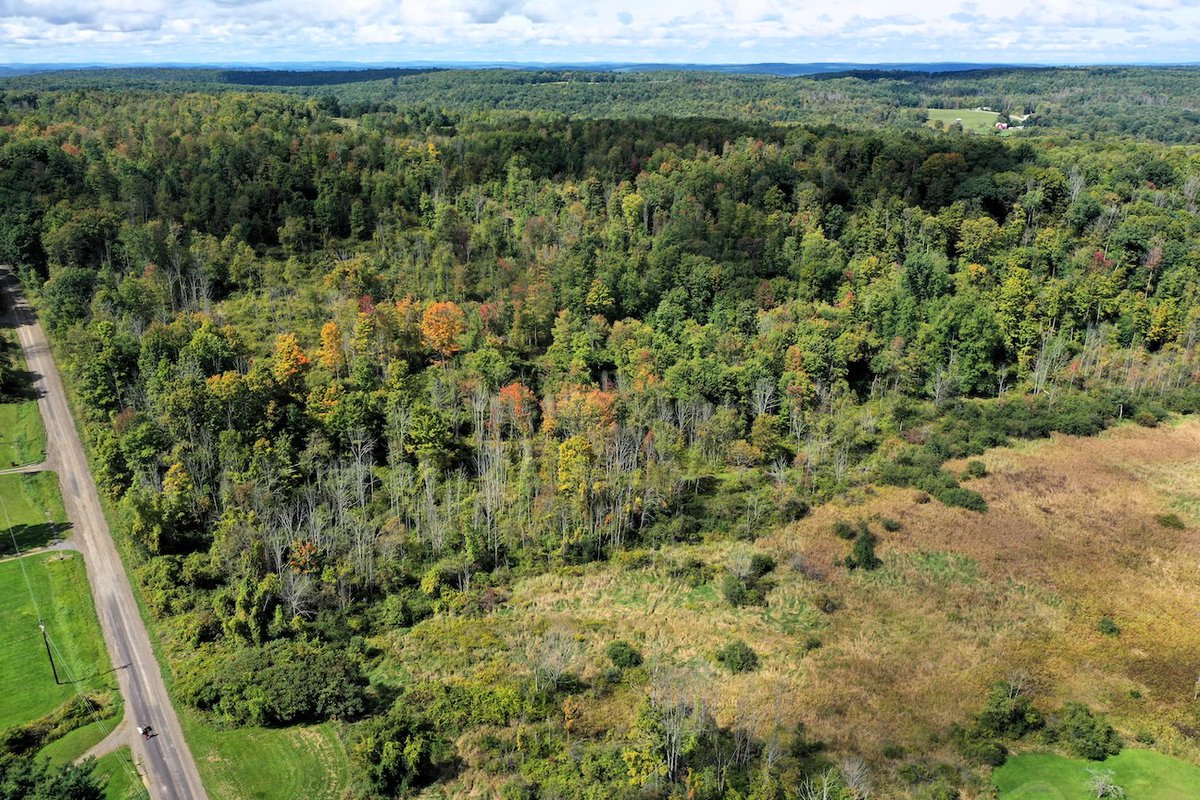 NYLandQuest's tweet photo. 63 acres HUNTING and RECREATIONAL Property in Caton NY.  Ideal location to build a home, camp, or cabin. Miles of established and maintained trails for hiking, riding, and hunting.  $187,500.  https://t.co/q8wX0nO2HW @NYLandQuest #hunting #trails #atv #southerntier #nylandforsale https://t.co/6yMQSSKGg3