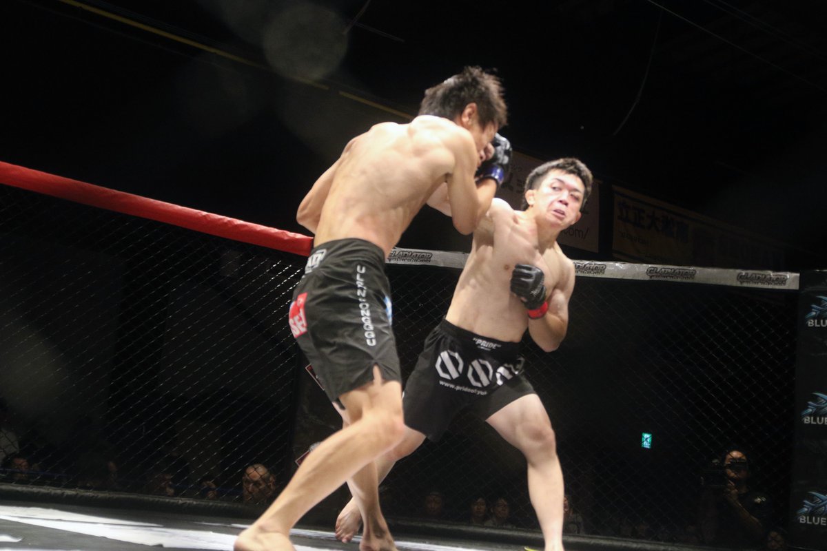 nekoyabunraku's tweet photo. #GLADIATOR036 #GLADIATOR #MMA2019
GLADIATORストロー級5分3R 次期タイトル決定戦
諸井友祐(パラエストラ和泉)
クォン・ミンス(TEAMMAD) https://t.co/nJ4CEXCPRh