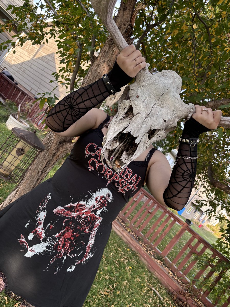 xxfrog_slimexx's tweet photo. Moose skullz https://t.co/Dj4h9sTSpp