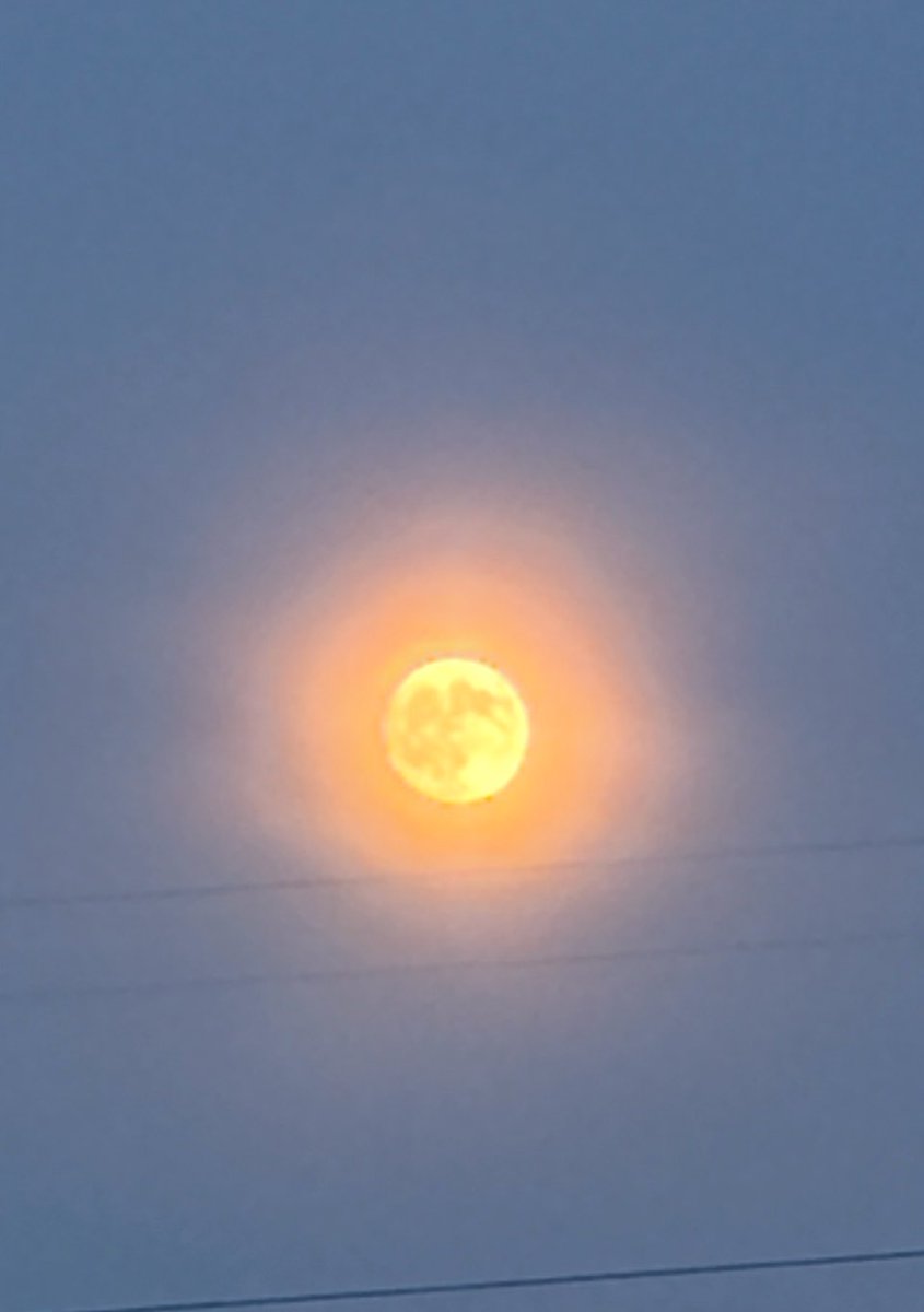 PRatlu's tweet photo. 昨日は「中秋の名月」🌕
帰宅途中に空を見上げたら、とても綺麗なお月さま。
iPhone 17で撮ってみました。
スマホだとこれが私とスマホの限界です
今年は珍しく、中秋の名月は9月25日、満月は9月27日。2日ずれているそうです🌕
国立天文台によると、中秋の名月と満月が2日ずれるのは2017年以来で、次に2日ずれるのは2043年なんだとか。
そう聞くと、昨日のお月さまがちょっと特別に見えてきますね。
26日のご予約は、夕方のお時間に残り1枠空きがございます
ご予約お待ちしております