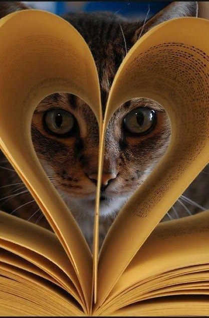 Foscadue's tweet photo. @hermanno55 E a te una buona serata  🤗 https://t.co/1S8JJVzbGu