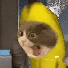 Hollyshus's tweet photo. PPG, you’re fucking ridiculous. Why have you been silent for three whole months, letting online harassment run wild and leaving us in pain? Fuck PPG. Go bankrupt already.

#PapergamesRuinsCNgaming
#PPGruinsChineseCulturalExport 
#请叠纸停止抹黑中国政府 https://t.co/9u0XKzAIJD